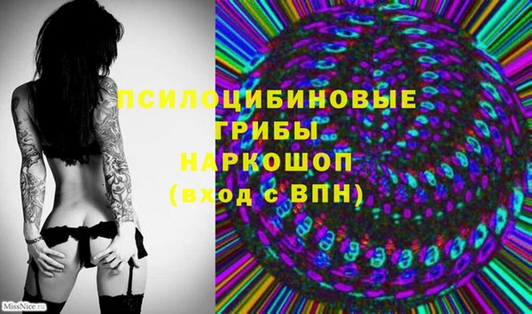 молекула духа Алзамай