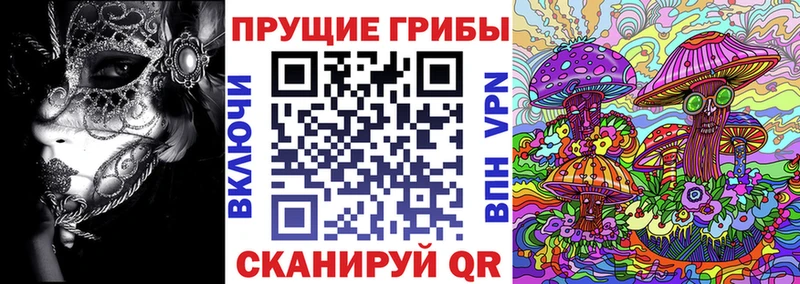 Псилоцибиновые грибы GOLDEN TEACHER мега зеркало Самара купить цена