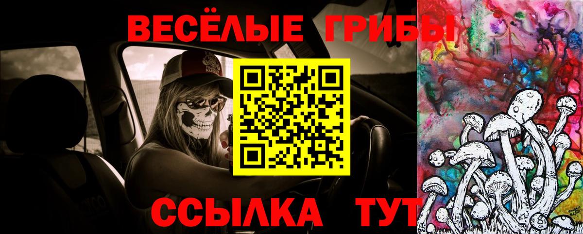 Псилоцибиновые грибы Psilocybe  Вход с VPN  Самара 